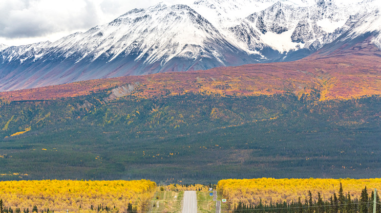 road leading to fall landscape with snowy mountain backdrop