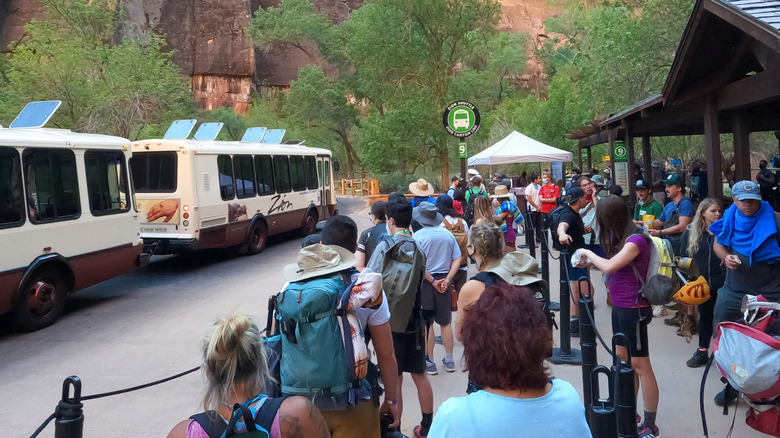 National park visitors wait for busses