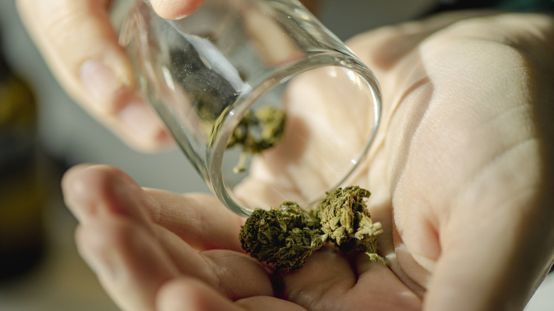 Marijuana in hand