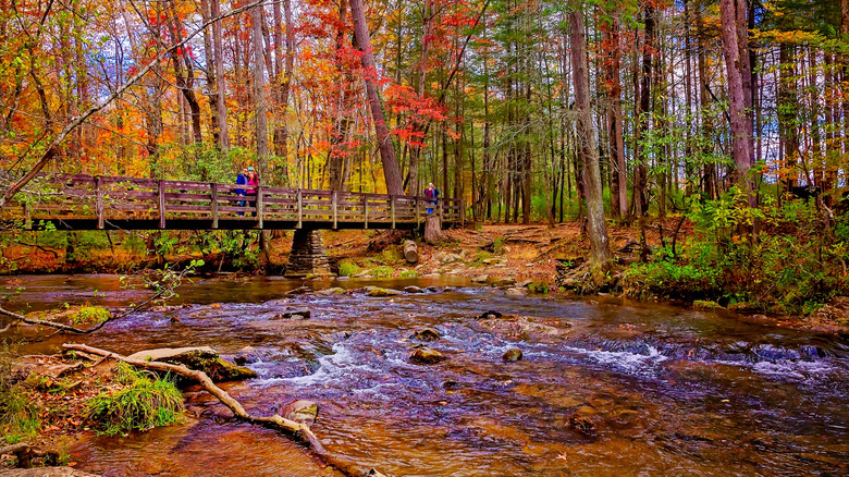 a trail in Great Smoky Mountains National Park