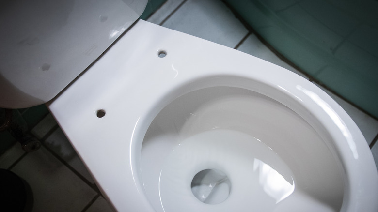 Toilet bowl with seat removed for replacement or cleaning.