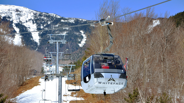 A ski lift going up Whiteface Mountain between scrubby trees