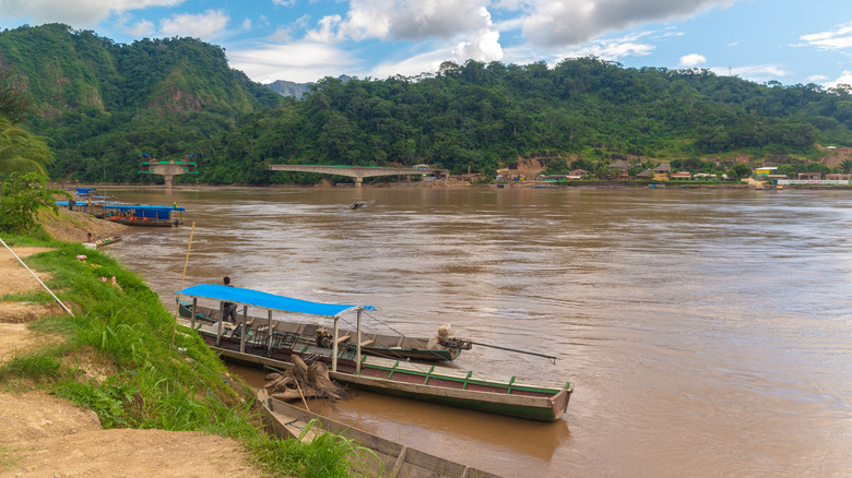 Amazonian forest in Madidi National Park Rurrenabaque, Bolivia