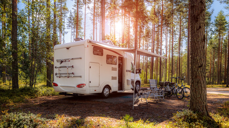 A white RV with its door open, parked among tall pine trees.