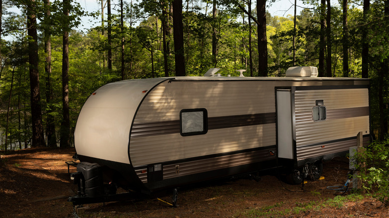 A travel trailer parked in the woods