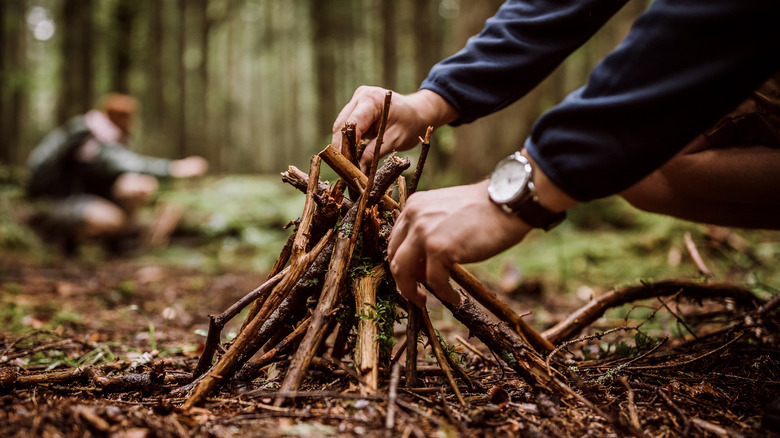 person preparing firewood