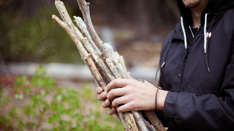 Person carrying bundle of sticks for campfire