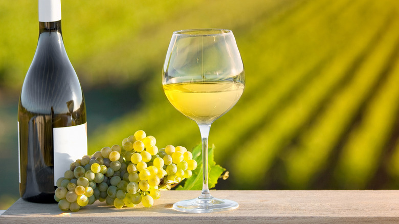 A glass of wine stands in front of a vineyard