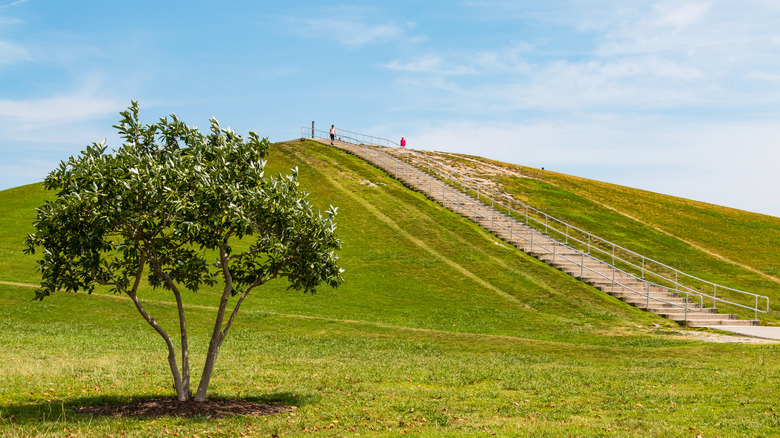 The steps up Mount Trashmore in Virginia Beach