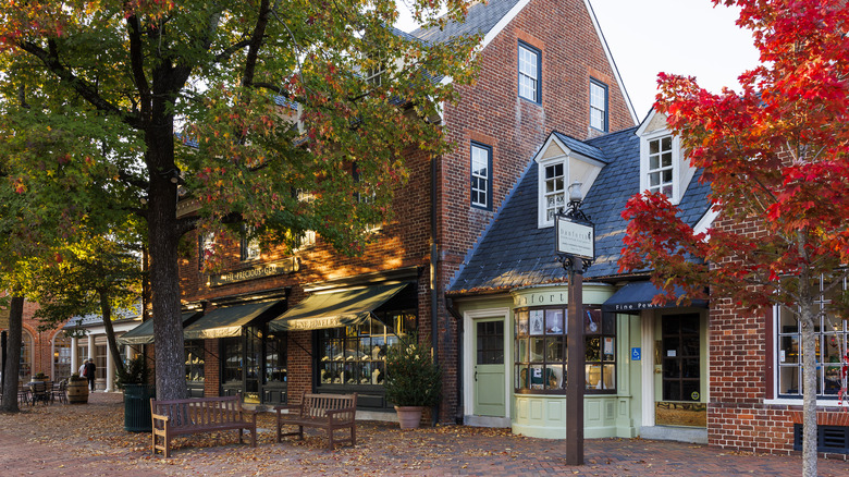 old shopfronts with bright red tree in foreground