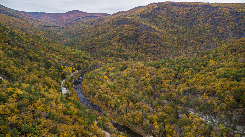 Fall color covering the forested hills of Virginia's Shenandoah Valley