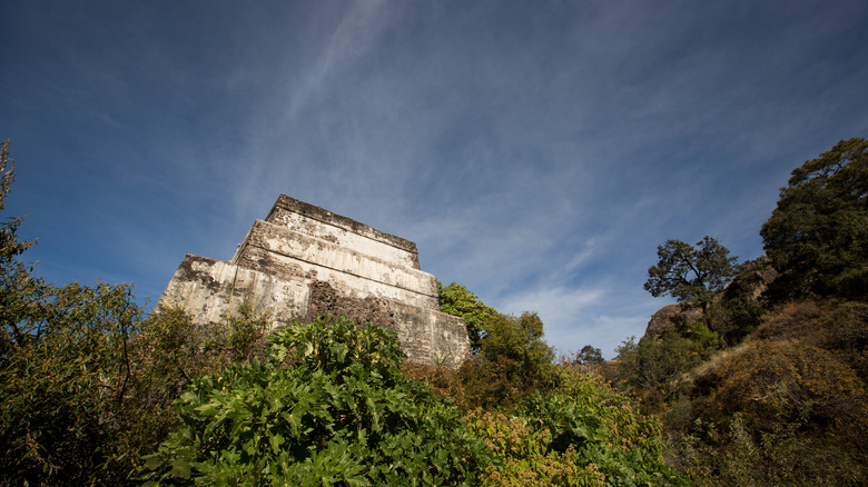 Tepozteco pyramid ruins and jungle