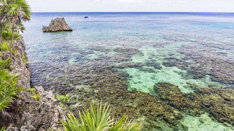 Reefs surrounding Roatán, Honduras