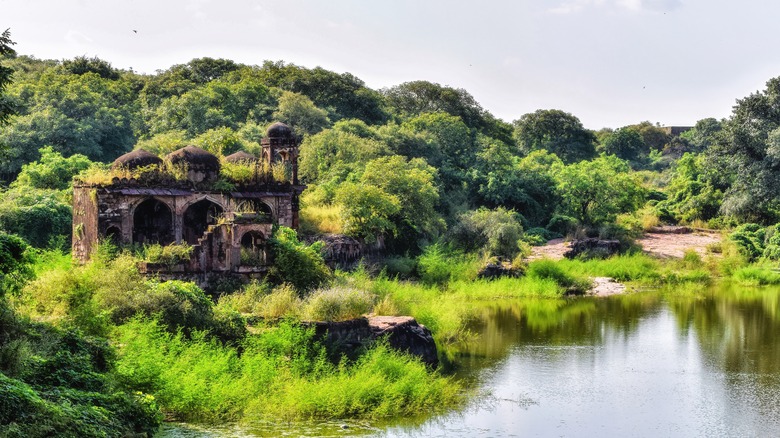 Ruins in a jungle