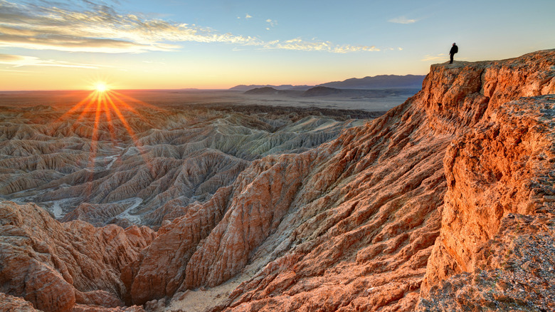 Rugged landscape