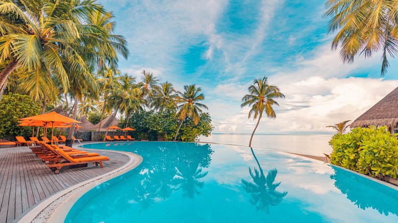 Tropical island with a pool