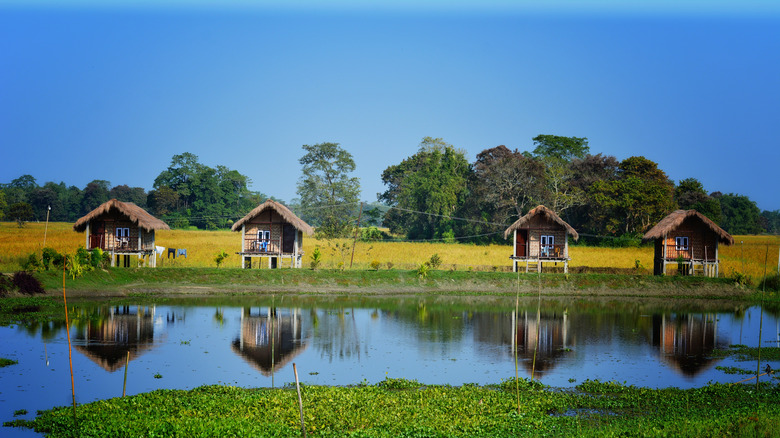 Majuli Island 