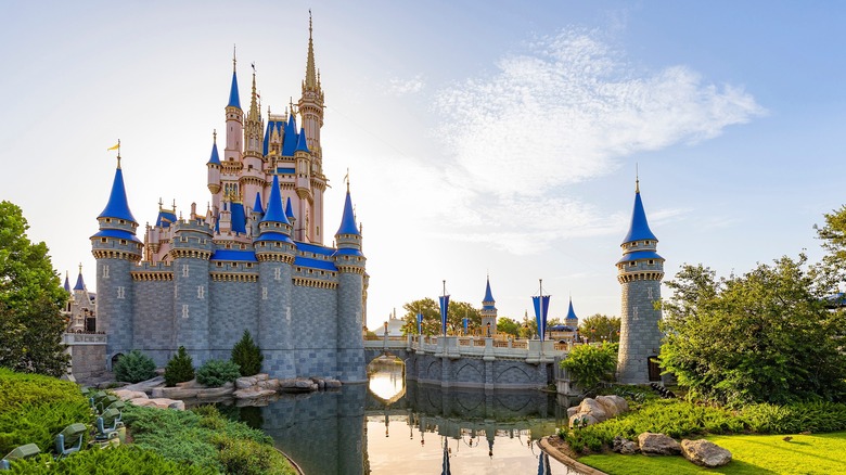 Cinderella Castle pond Magic Kingdom