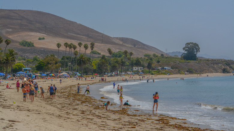 People on the beach