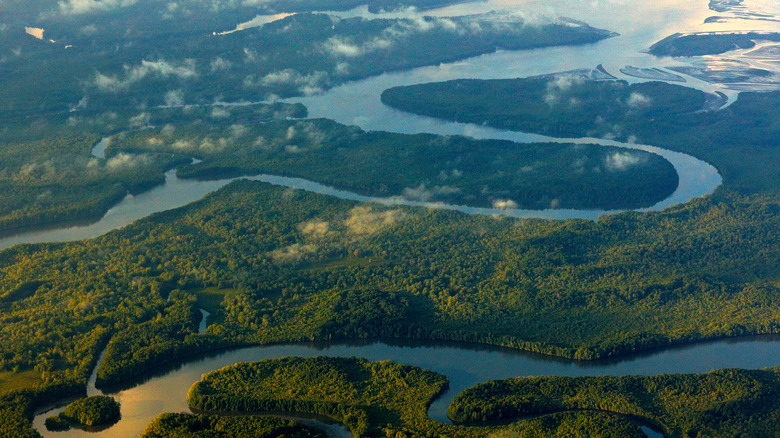 Aerial view jungle river