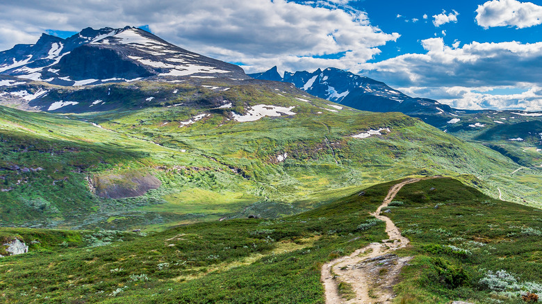 Jotunheimen National Park mountains field