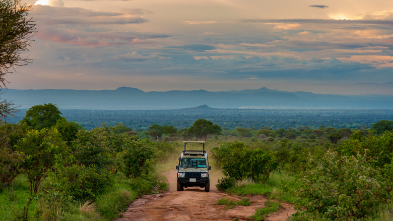 Jeep in Tarangire National Park