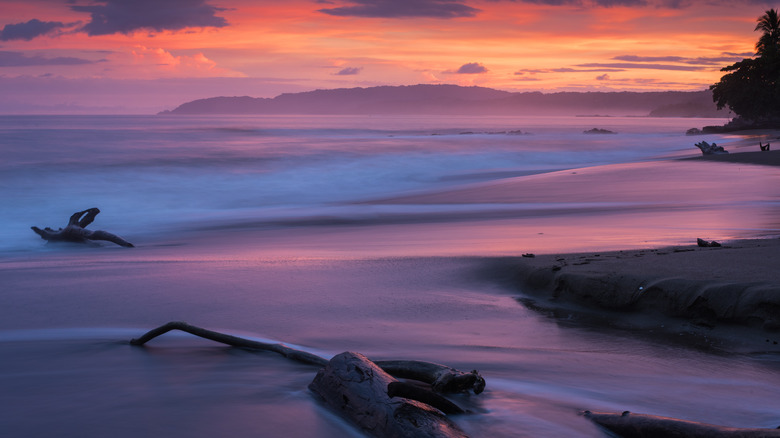 pink beach at sunset