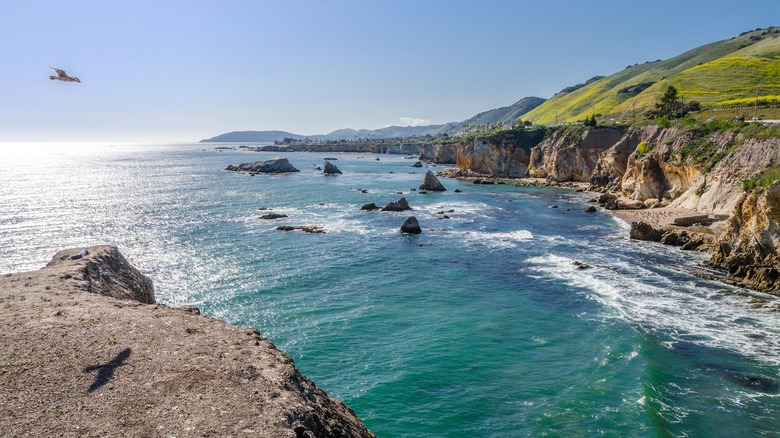 Pismo Beach shoreline