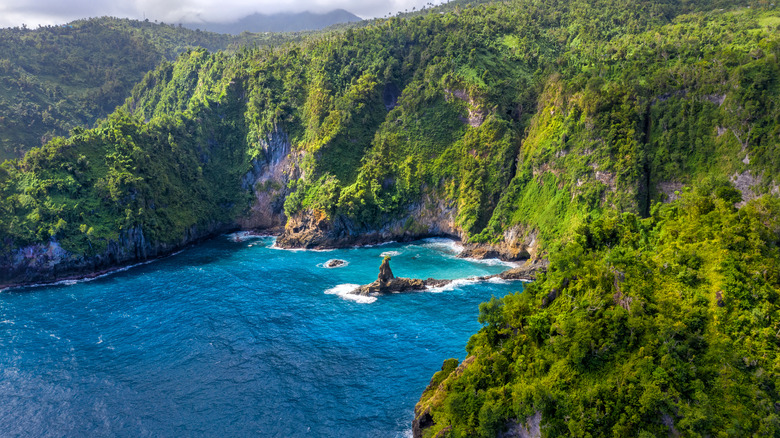 aerial view of Dominica