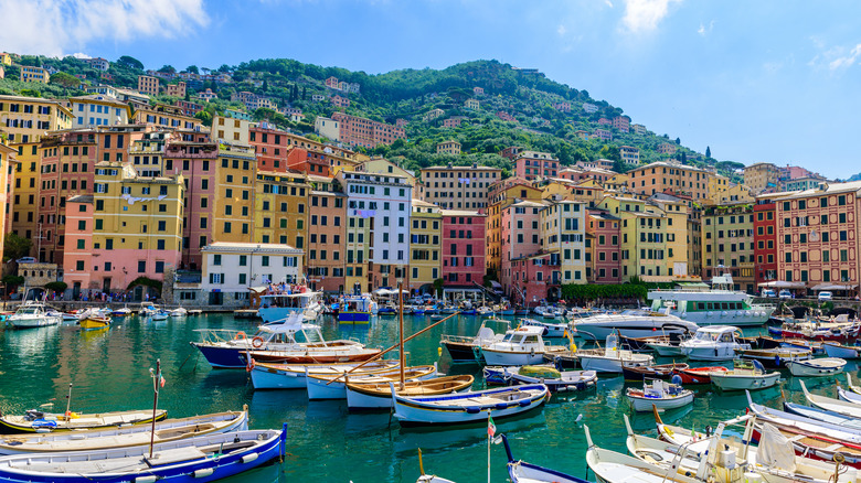 Camogli's marina filled with boats