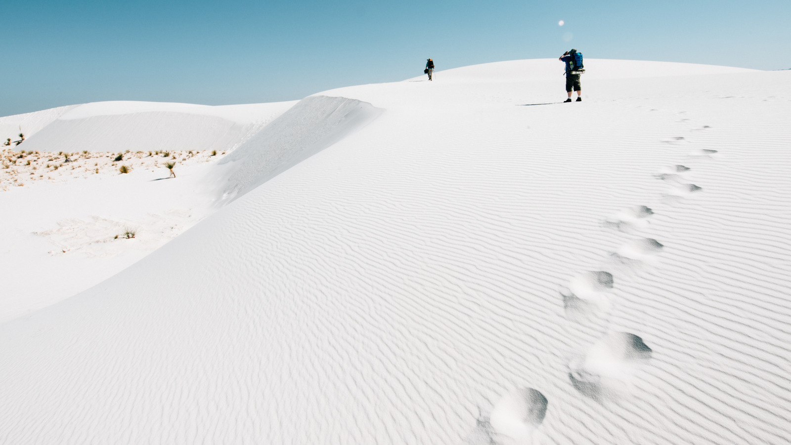 Visit This US National Park To See Epic White Sand Dunes