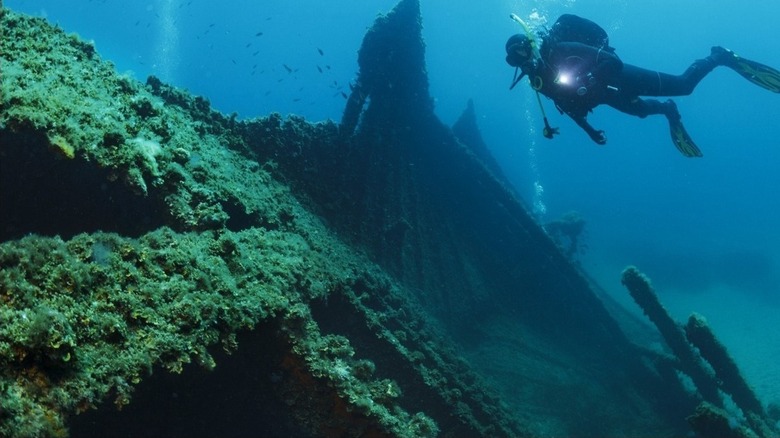 scuba diver above shipwreck