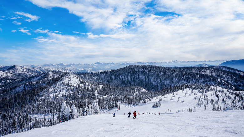 Whitefish Mountain Resort ski slopes