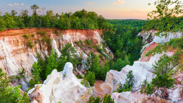 Landscape view of Providence Canyon