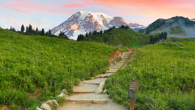 A beautiful set of stone stairs along the Skyline Trail in Mt Rainier National Park at sunrise