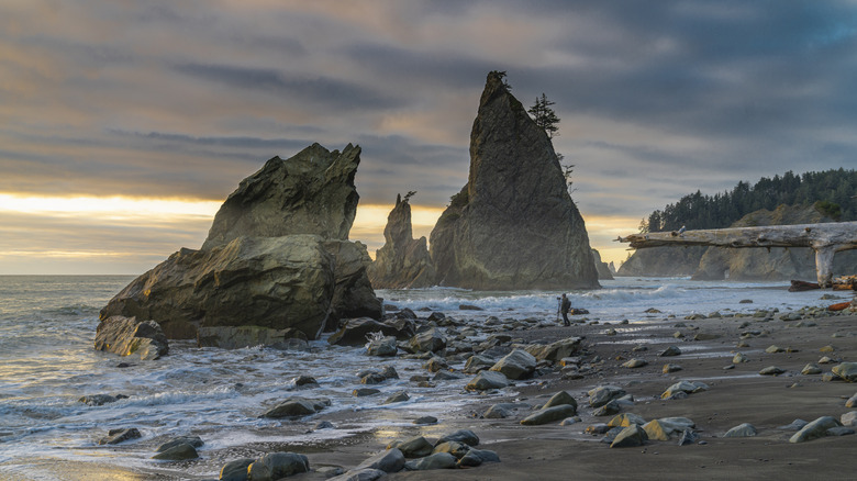 Rialto Beach in the fall, Olympic National Park