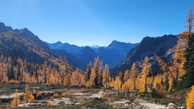 The mountain view on Cutthroat Pass in the Cascade Range in Washington