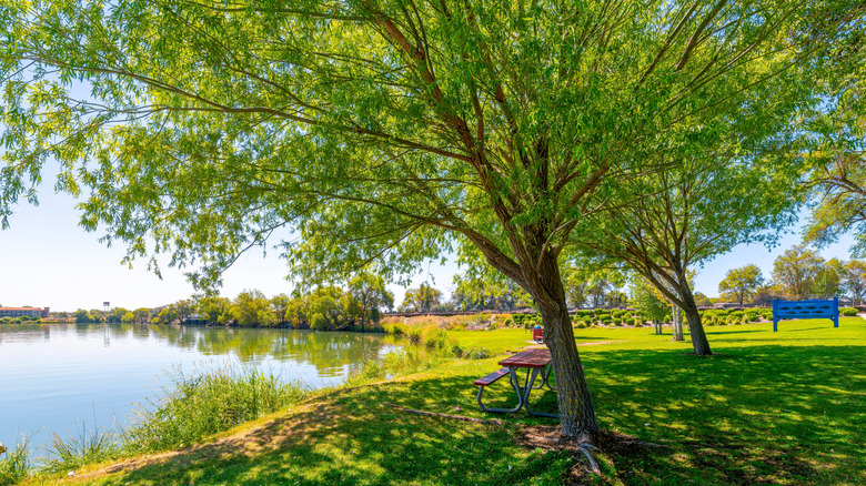 Blue Heron Park along the shore of Moses Lake in Central Washington.
