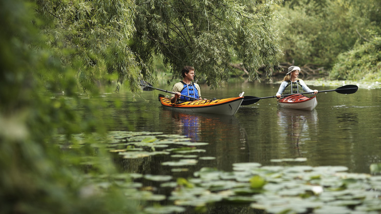 a man and a woman in two canoes near the trees on the shore