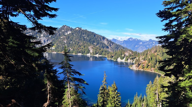 Lake with mountains and trees
