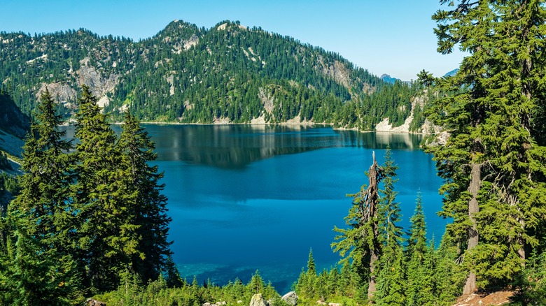 Lake with trees and mountains