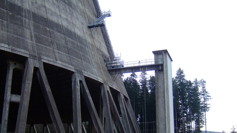 Exterior base of a cooling tower at Satsop Nuclear Power Plant
