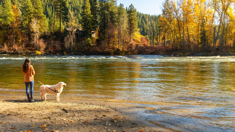 A young woman and her dog along the Wenatchee River near Leavenworth, Washington