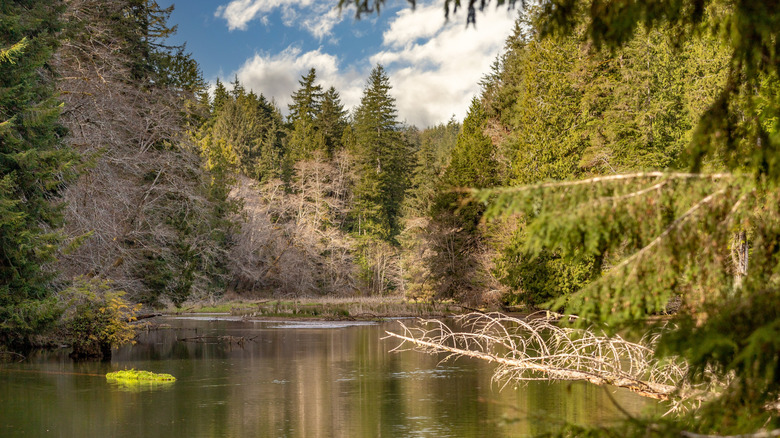 Late winter afternoon and the sun shines on Lake Sylvia in Washington State.