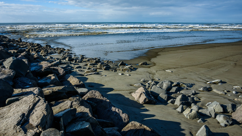 North Jetty Beach at the end of the Point Brown Peninsula in Ocean Shores, Washington