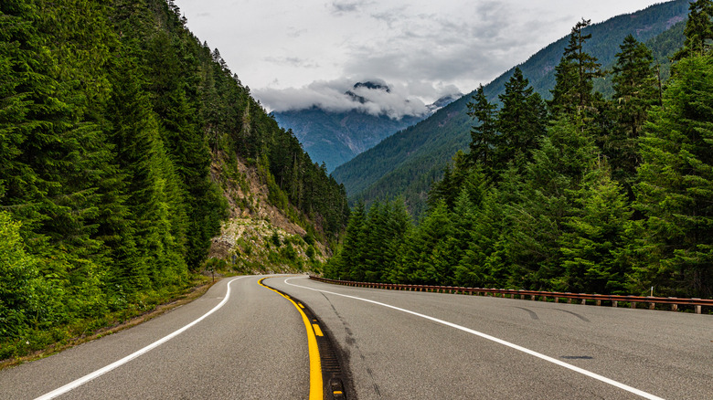 a road going through an evergreen mountain forest