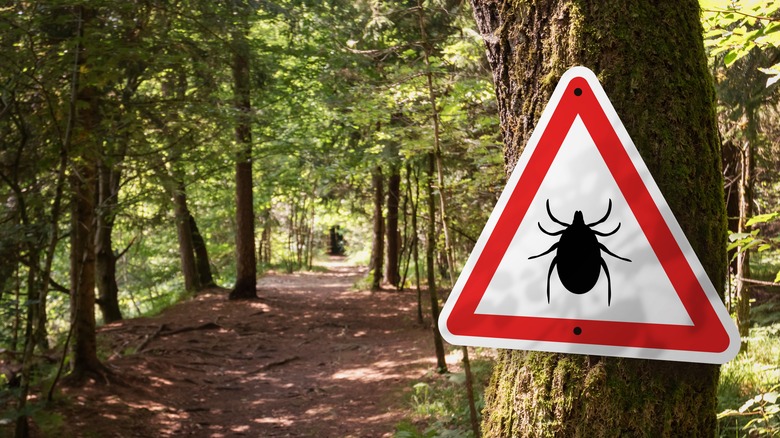 Tick warning sign in a forest