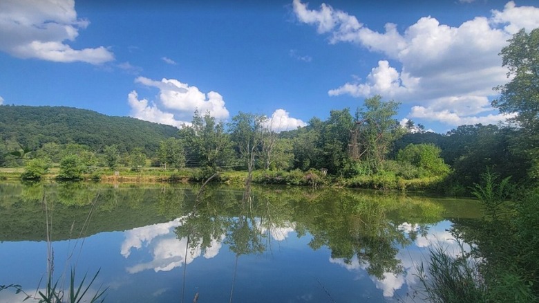 a view over Lake Shawnee in Mercer County West Virginia