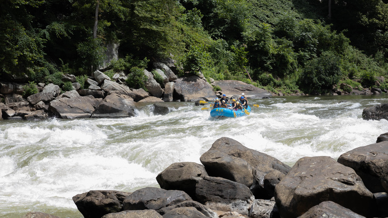 People rafting down the New River in West Virginia