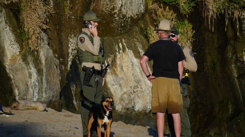 Park ranger at work